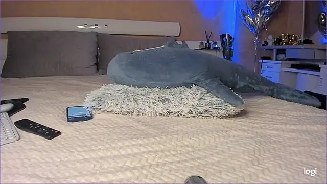 Snapshot of Diamond_D_ chatting on 10-16-25, 05:03 Diamond D online show from 10-16-25, 05:03