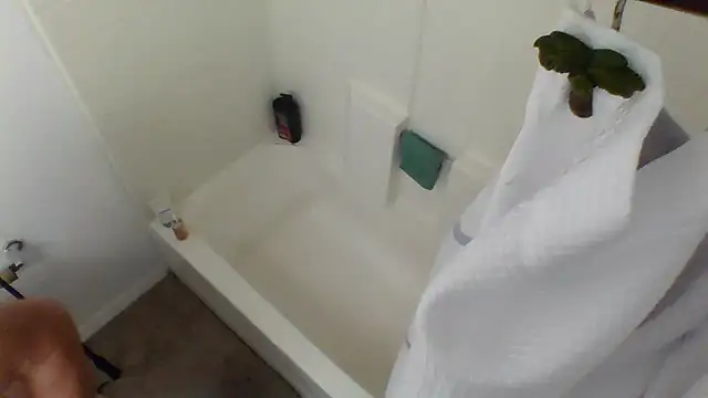 Yankeedave420 online show from 01-27-25, 03:47