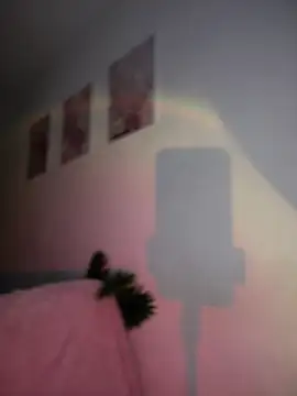 DulceLenns online show from 01-11-26, 06:46