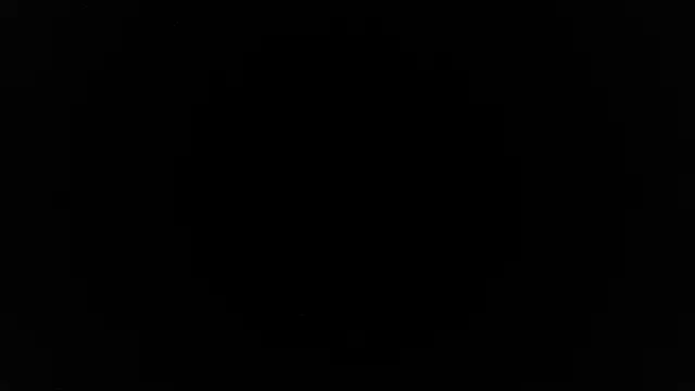 palidin1 online show from 06-21-26, 12:52