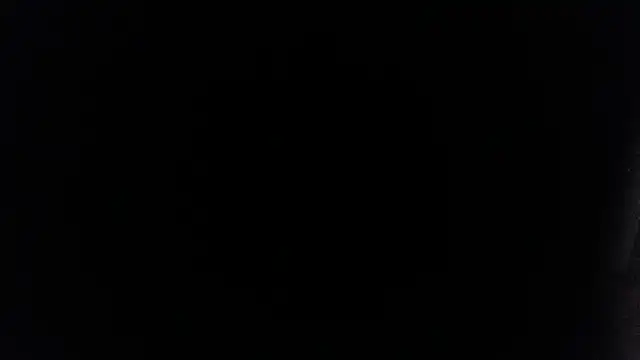 palidin1 online show from 07-13-26, 01:52