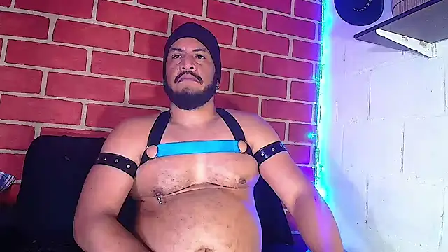 the master foal  online show from 01-08-25, 04:11