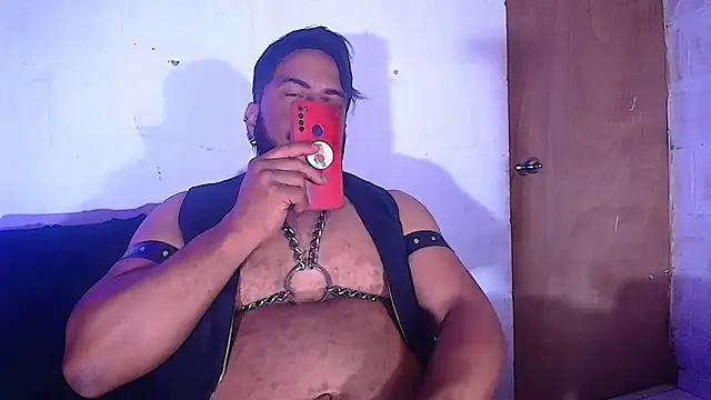 the master foal  online show from 02-08-25, 08:31