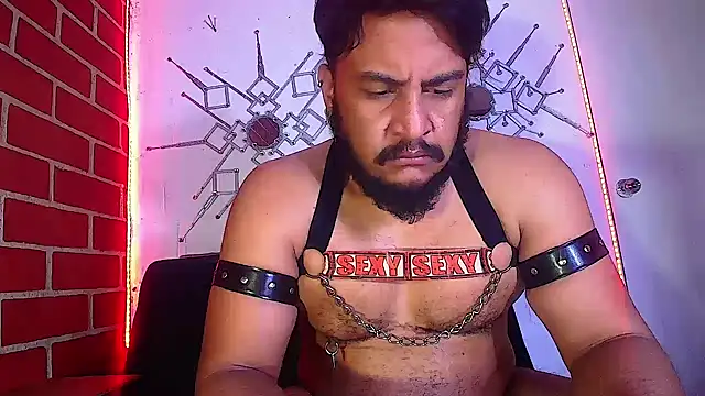 the master foal  online show from 02-16-25, 11:05