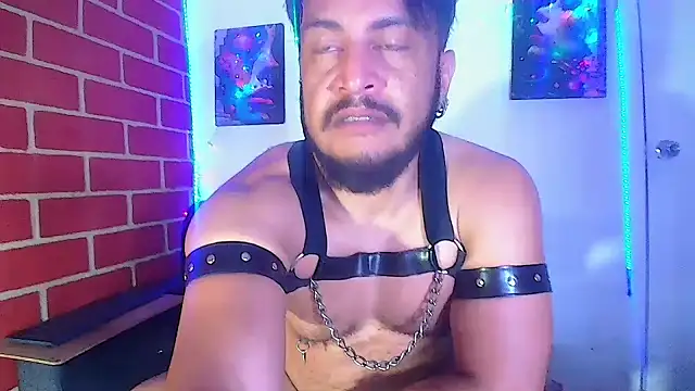 the master foal  online show from 03-07-25, 04:57