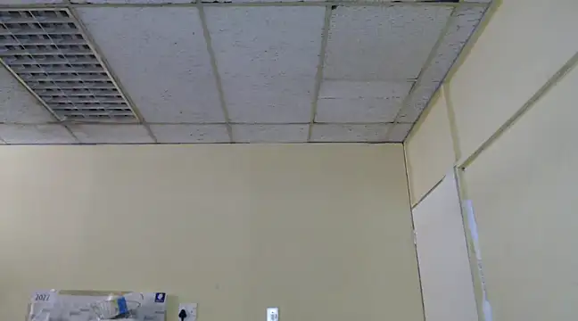 Mydreamgirrl online show from 02-13-25, 11:06