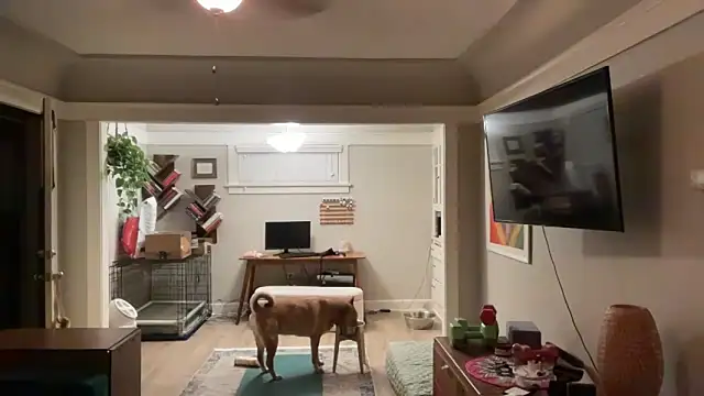 Snapshot of dreamyriri chatting on 03-15-26, 01:06 dreamyriri online show from 03-15-26, 01:06