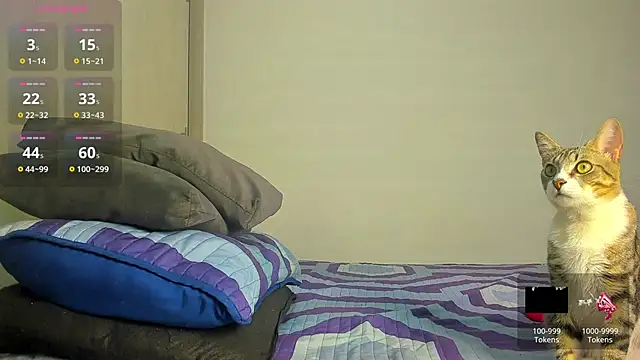 Snapshot of caroline_tovar chatting on 11-29-25, 01:30 caroline tovar online show from 11-29-25, 01:30