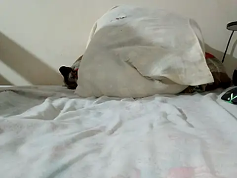 Snapshot of JamesQuaresma chatting on 02-11-26, 03:39 JamesQuaresma online show from 02-11-26, 03:39