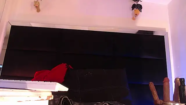 StefyFerrer online show from 07-12-26, 03:41