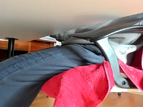 leccaleccafiga online show from 02-13-25, 09:20