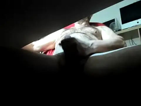 leccaleccafiga online show from 03-01-25, 03:49