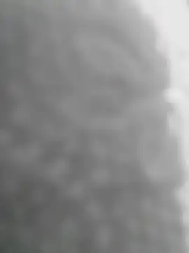 Snapshot of Sexilvenia chatting on 05-15-26, 10:28 Sexilvenia online show from 05-15-26, 10:28