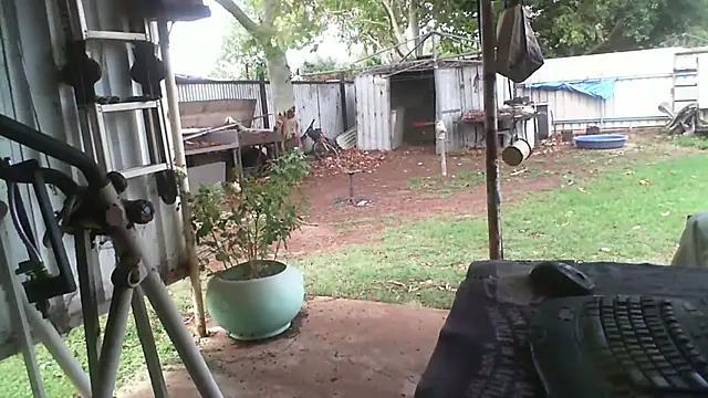 Snapshot of herbie010666 chatting on 11-27-25, 04:25 herbie010666 online show from 11-27-25, 04:25