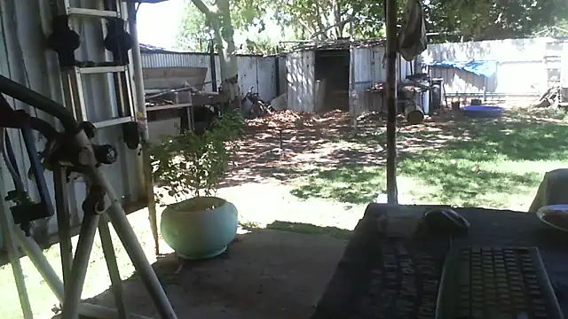 Snapshot of herbie010666 chatting on 12-02-25, 03:56 herbie010666 online show from 12-02-25, 03:56