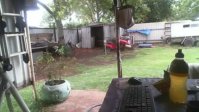 Snapshot of herbie010666 chatting on 12-23-25, 03:15 herbie010666 online show from 12-23-25, 03:15