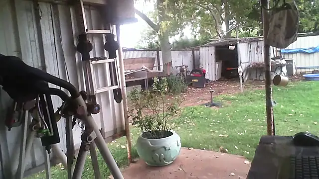 Snapshot of herbie010666 chatting on 02-03-26, 06:40 herbie010666 online show from 02-03-26, 06:40