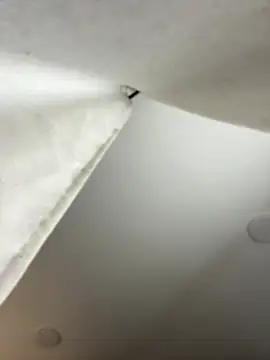 Snapshot of GeorginaJones chatting on 01-18-25, 02:25 GeorginaJones online show from 01-18-25, 02:25