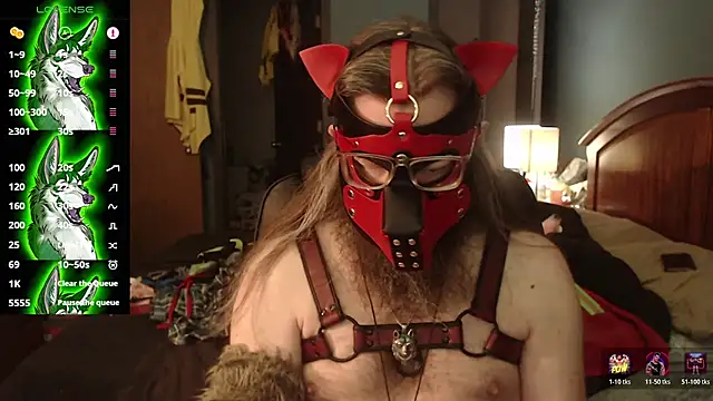 kinkywolf429 online show from 07-22-26, 03:48