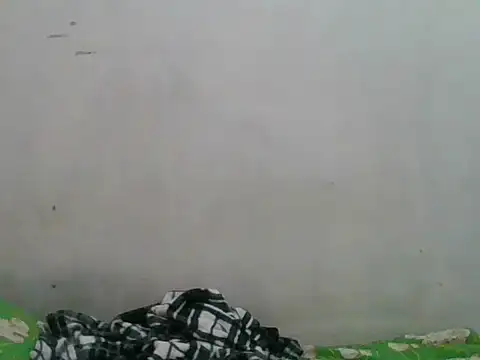 simplewild mom online show from 09-18-25, 12:34