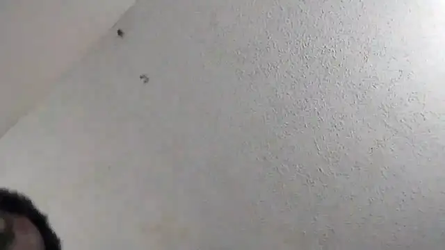 Snapshot of 247Srokin chatting on 03-06-26, 11:01 247Srokin online show from 03-06-26, 11:01