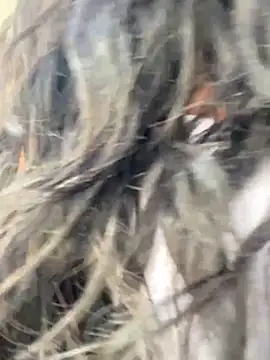 bea3liz online show from 12-18-24, 05:52