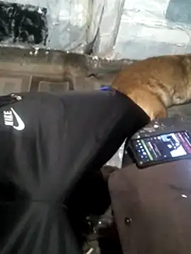 Wero4200 online show from 03-13-26, 09:05