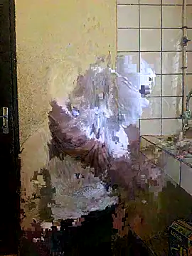 vannycov online show from 04-28-26, 09:14