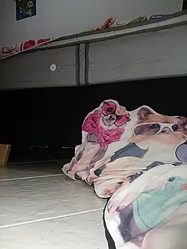 Snapshot of Van3orgasm4me chatting on 02-13-26, 07:04 Van3orgasm4me online show from 02-13-26, 07:04