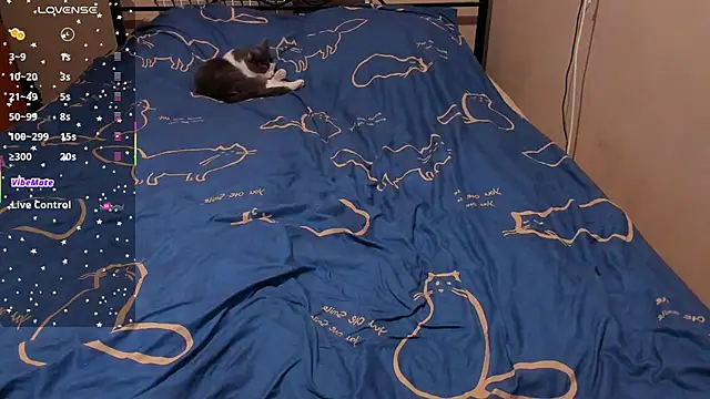 eva zero online show from 02-27-26, 02:28