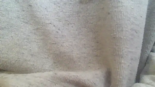 OralDesires2 online show from 02-17-25, 03:20