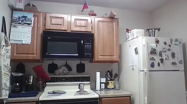 Snapshot of EvaRobinson chatting on 02-25-25, 03:05 EvaRobinson online show from 02-25-25, 03:05