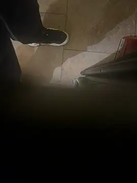 dingoding online show from 01-08-25, 04:44