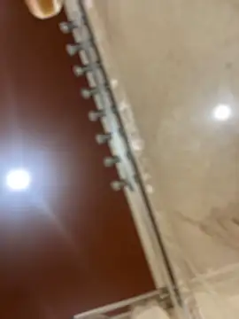 dingoding online show from 03-21-25, 06:51