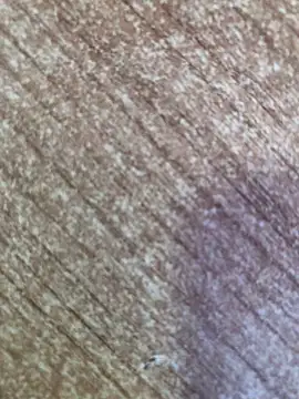 Snapshot of gokhanbey34 chatting on 10-26-25, 08:53 gokhanbey34 online show from 10-26-25, 08:53