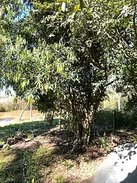 AliceStone19 online show from 09-10-25, 05:24