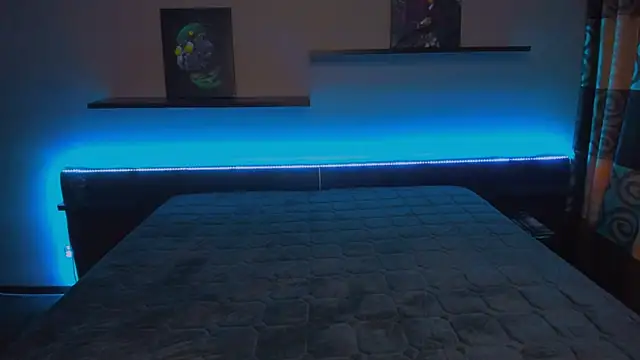 AlexaBarkley online show from 01-21-25, 03:15