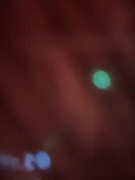 Snapshot of _Danna chatting on 02-14-26, 11:07 Danna online show from 02-14-26, 11:07