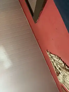 Snapshot of pimenta_gaby chatting on 10-18-25, 01:01 pimenta gaby online show from 10-18-25, 01:01