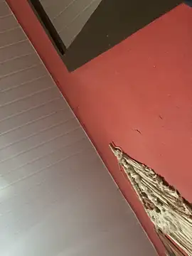 Snapshot of pimenta_gaby chatting on 11-04-25, 11:09 pimenta gaby online show from 11-04-25, 11:09