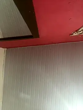 Snapshot of pimenta_gaby chatting on 11-30-25, 12:20 pimenta gaby online show from 11-30-25, 12:20