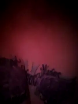 julimonroe online show from 02-18-26, 10:22