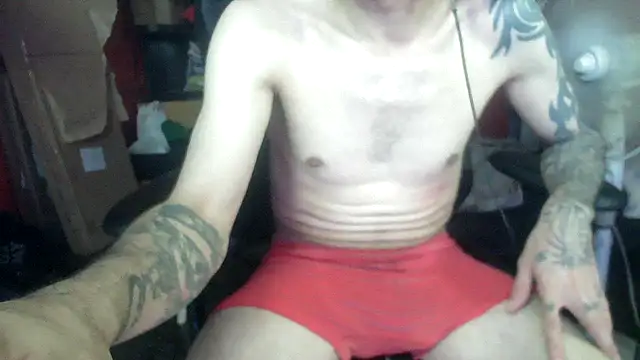 zorrito86 online show from 07-02-26, 04:24