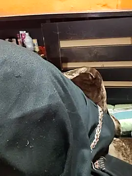 Diya 143 online show from 01-12-26, 06:35