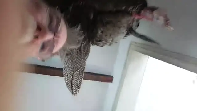 CDforU online show from 02-04-26, 05:52