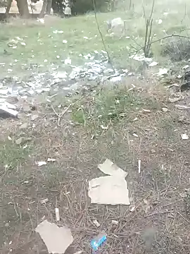 K-27 online show from 01-01-25, 03:46