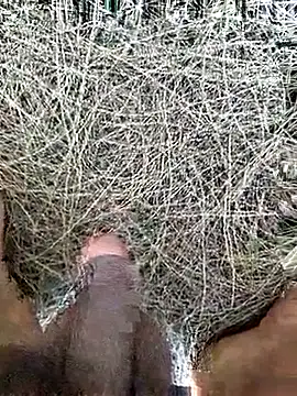 Gopal1243 online show from 02-19-26, 08:10