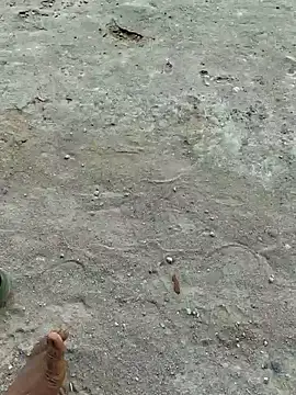 Gopal1243 online show from 04-20-26, 07:55