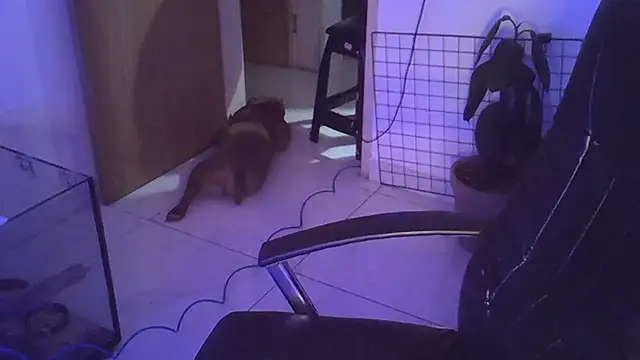 myamillor online show from 12-14-24, 01:17