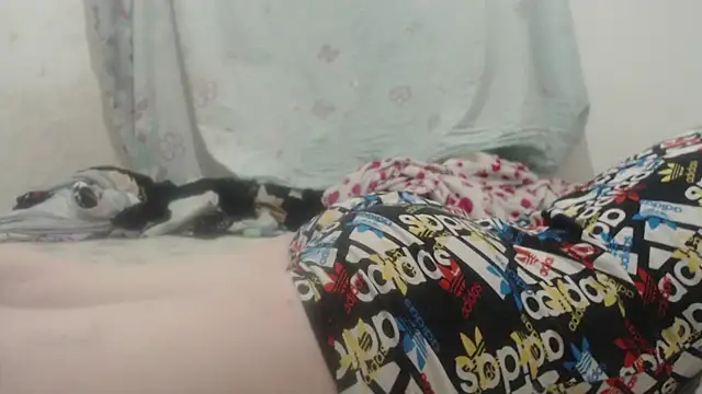 Snapshot of Kittywhiteass chatting on 03-16-25, 11:57 Kittywhiteass online show from 03-16-25, 11:57